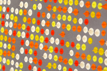Memory Lapse Detail