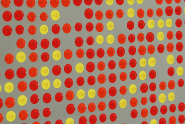 LL-6 detail